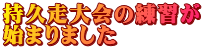 持久走大会の練習が 始まりました